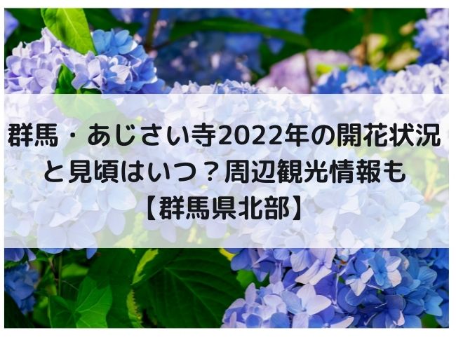 群馬 あじさい寺22年の開花状況と見頃はいつ 周辺観光情報も 群馬県北部 Kanaぶろぐ